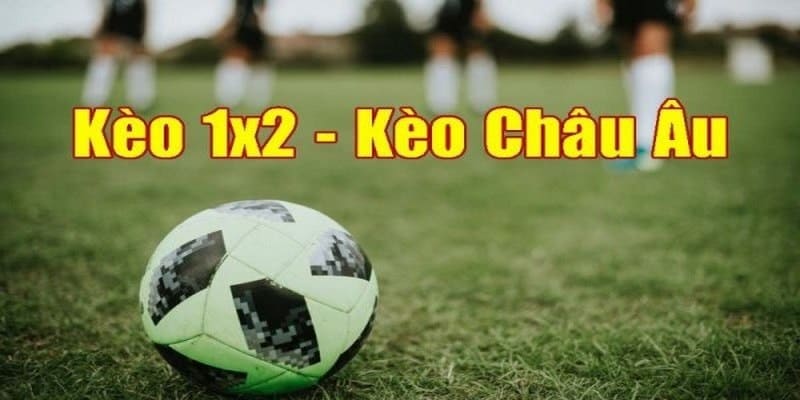 Kèo châu Âu được đông đảo hội viên lựa chọn cá cược